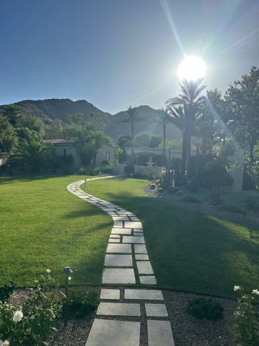 Curved garden path with palm trees and mountains under bright sun.