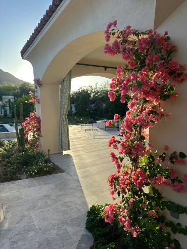 Pink flowers climbing on a white archway.