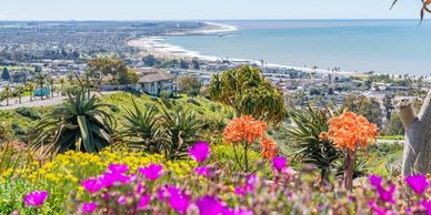 Coastal cityscape with colorful flowers in the foreground.