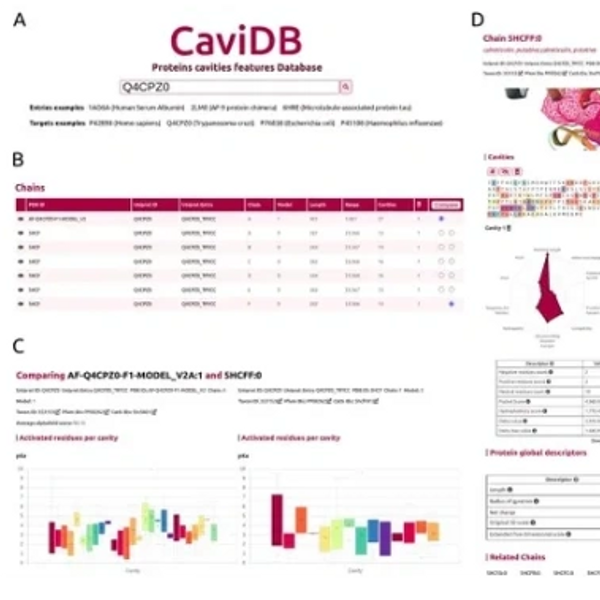 Link to Journal Article