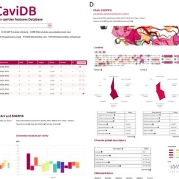 Link to Journal Article