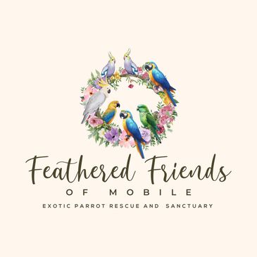 Logo of Feathered Friends of Mobile, an exotic parrot rescue and sanctuary.