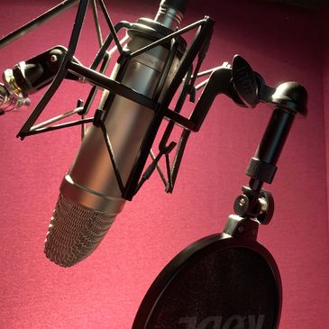 Rode microphone with pop shield and Sennheiser headphones