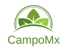 Campo Mx