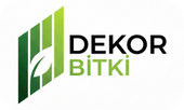Dekor Bitki