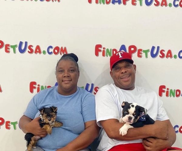 Find a pet deals