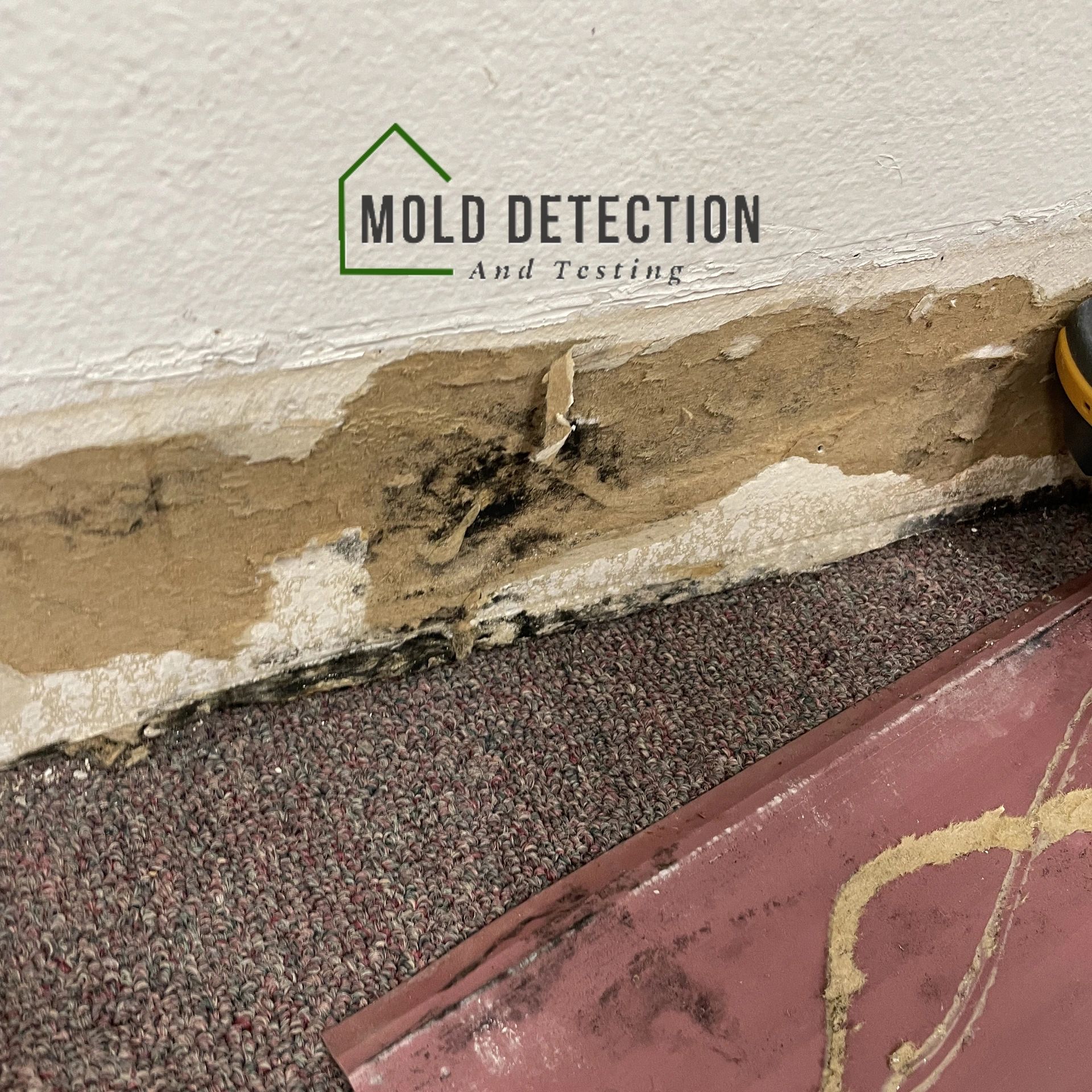 Mold Detection And Testing Woodcrest CA