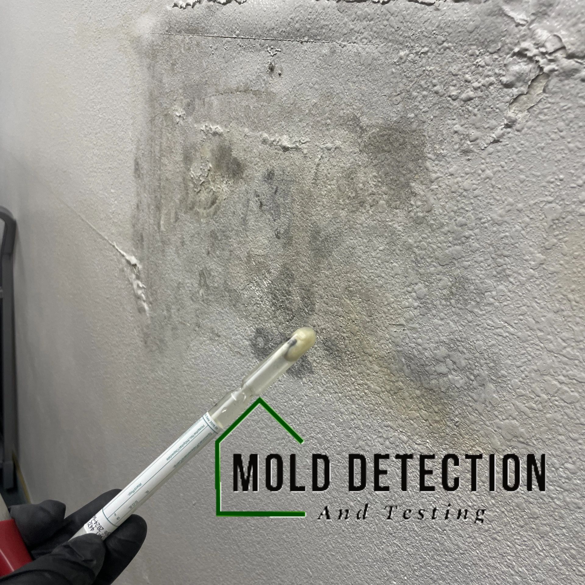 Mold Detection And Testing Riverside