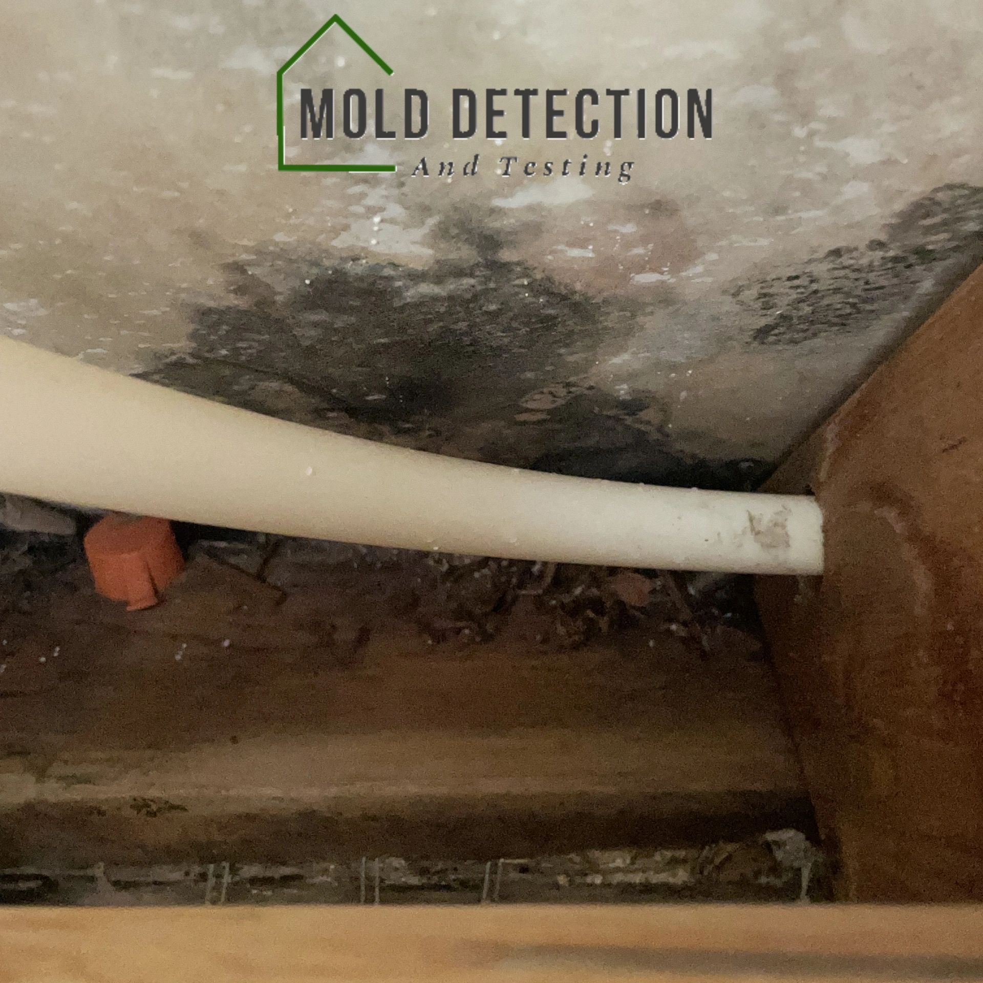 Mold Detection And Testing Fallbrook