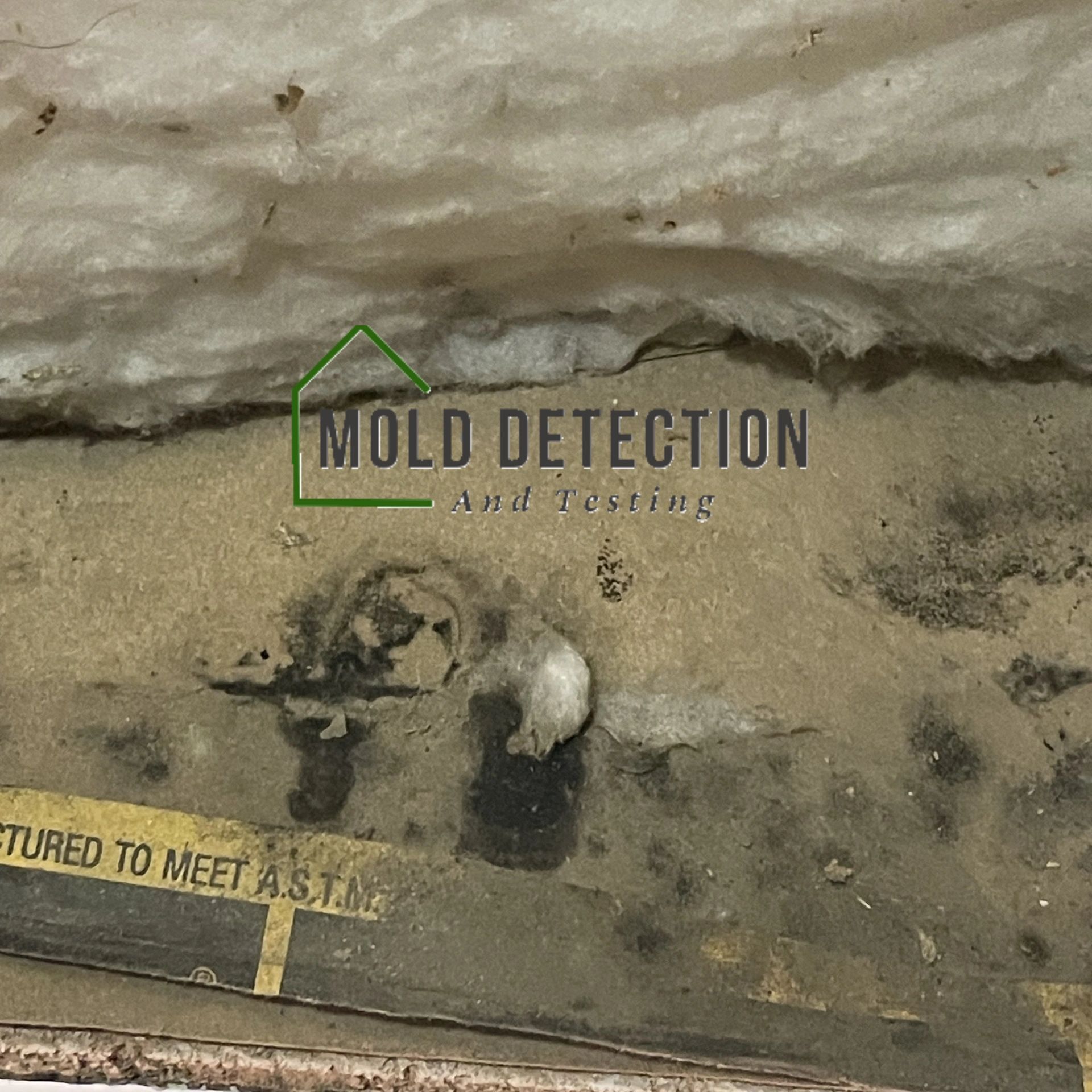 Mold Detection And Testing Lake Elsinore
