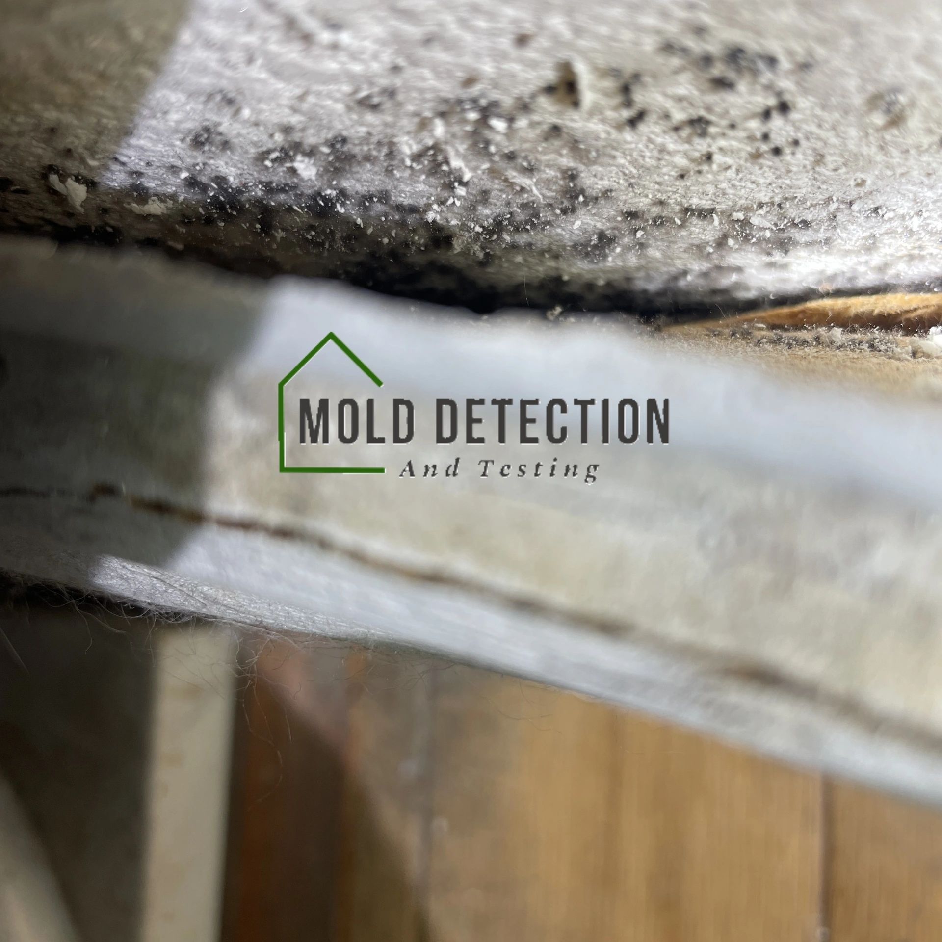 Mold Inspection And Testing Upland CA