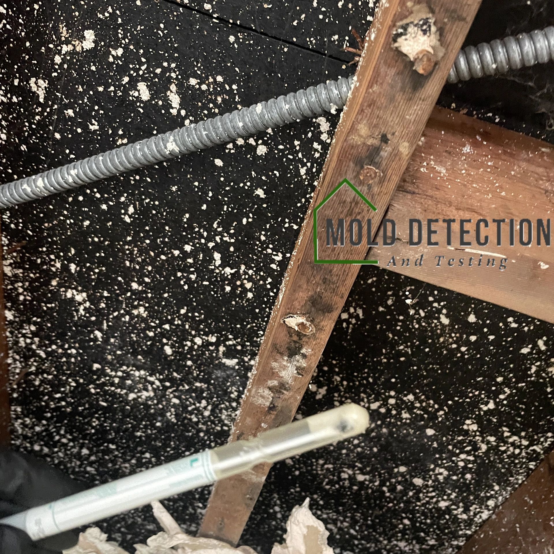 Mold Detection And Testing Chino Hills