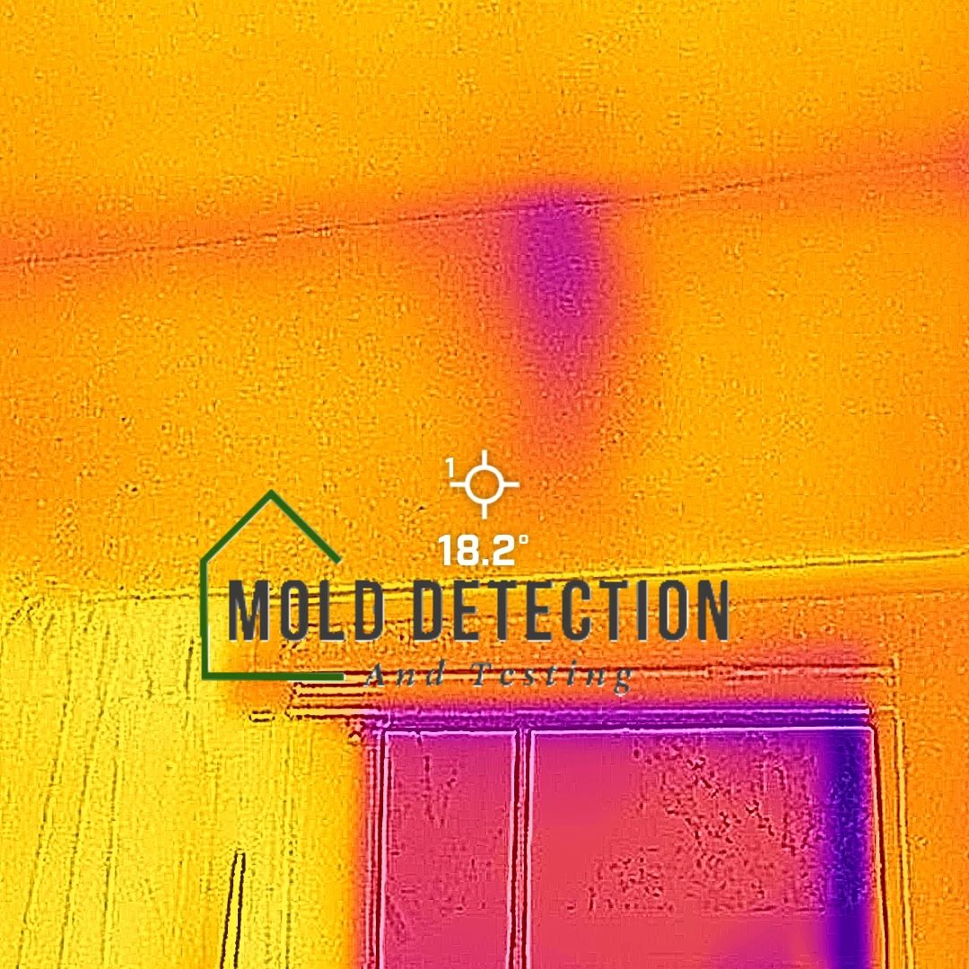 Mold Detection And Testing Wildomar CA