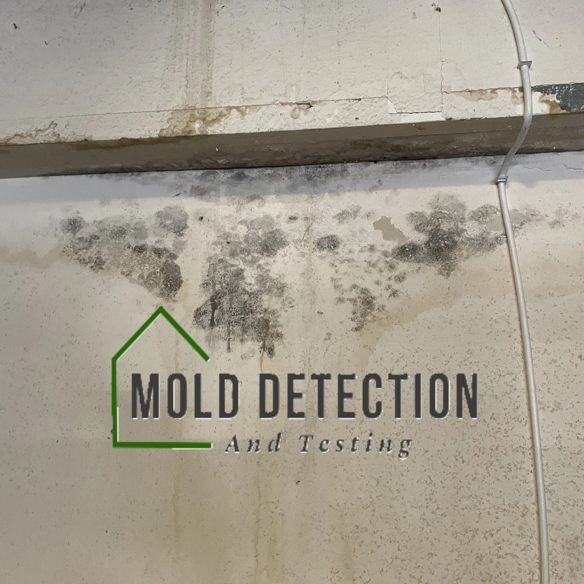 Mold Detection And testing Services Anaheim Hills CA