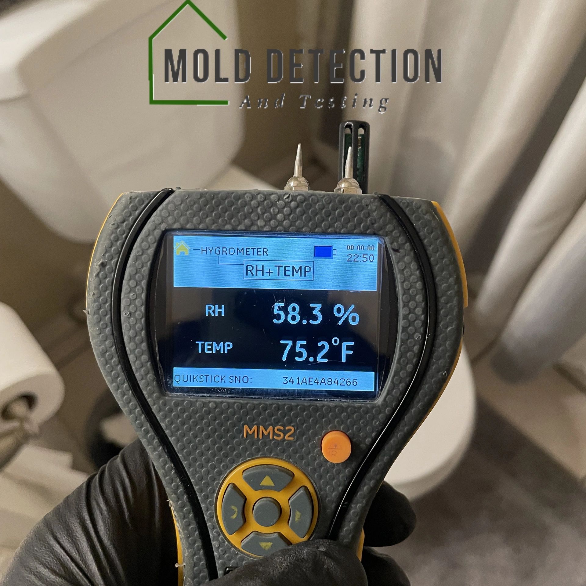 Mold Detection And Testing Rancho Cucamonga CA