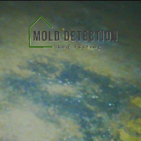 Mold Detection And Testing Perris