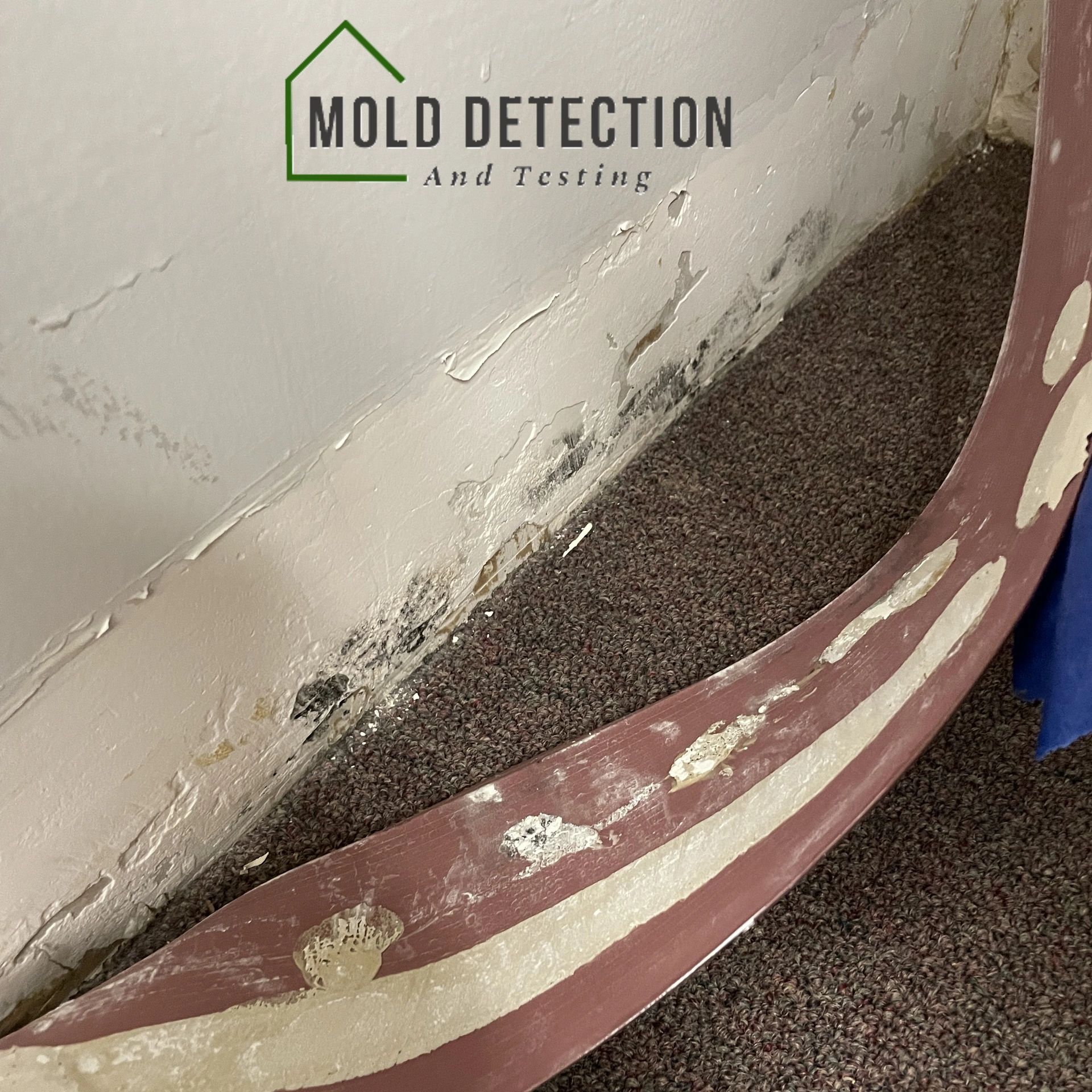 Mold Detection And Testing Mira Loma CA