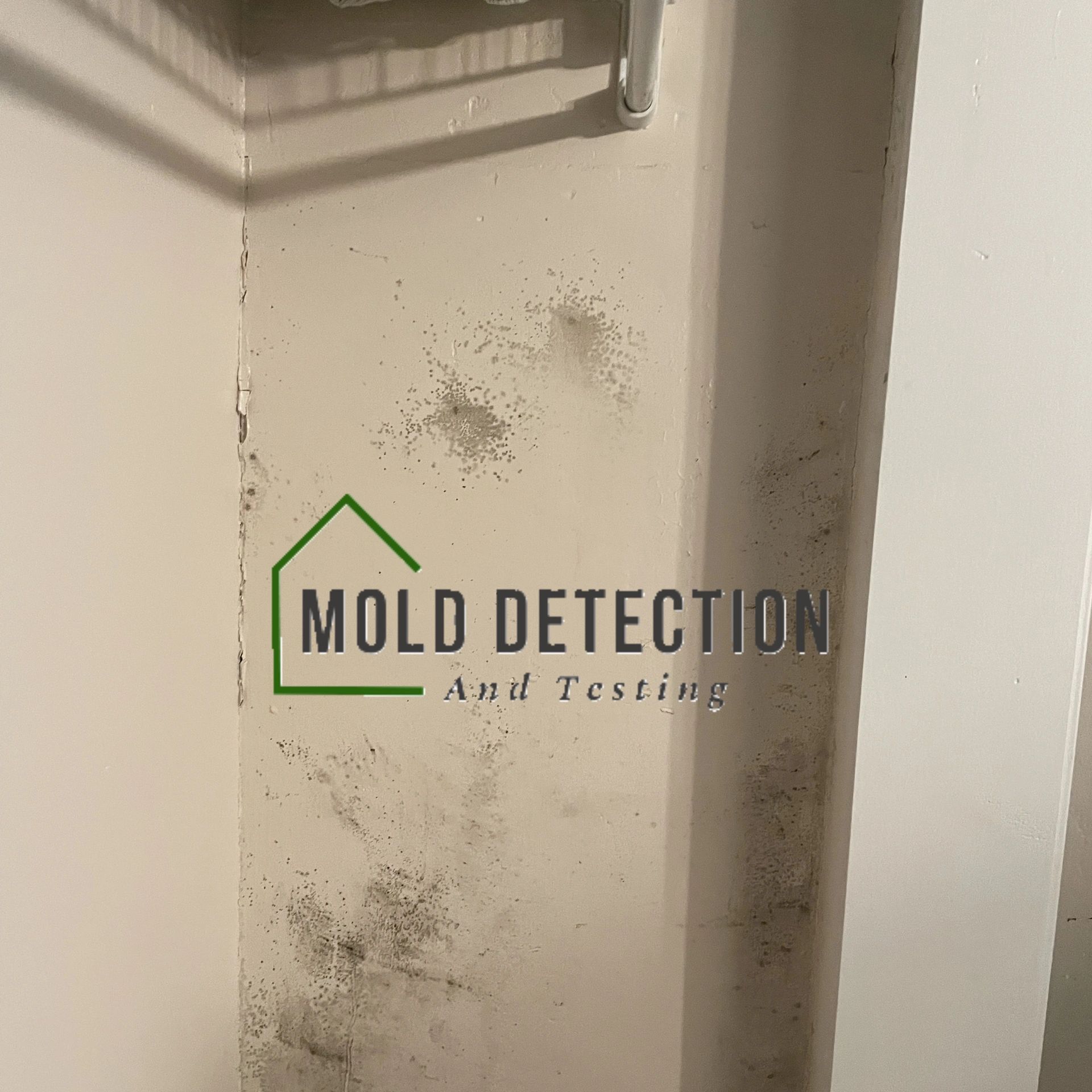 Mold Detection And Testing Moreno Valley
