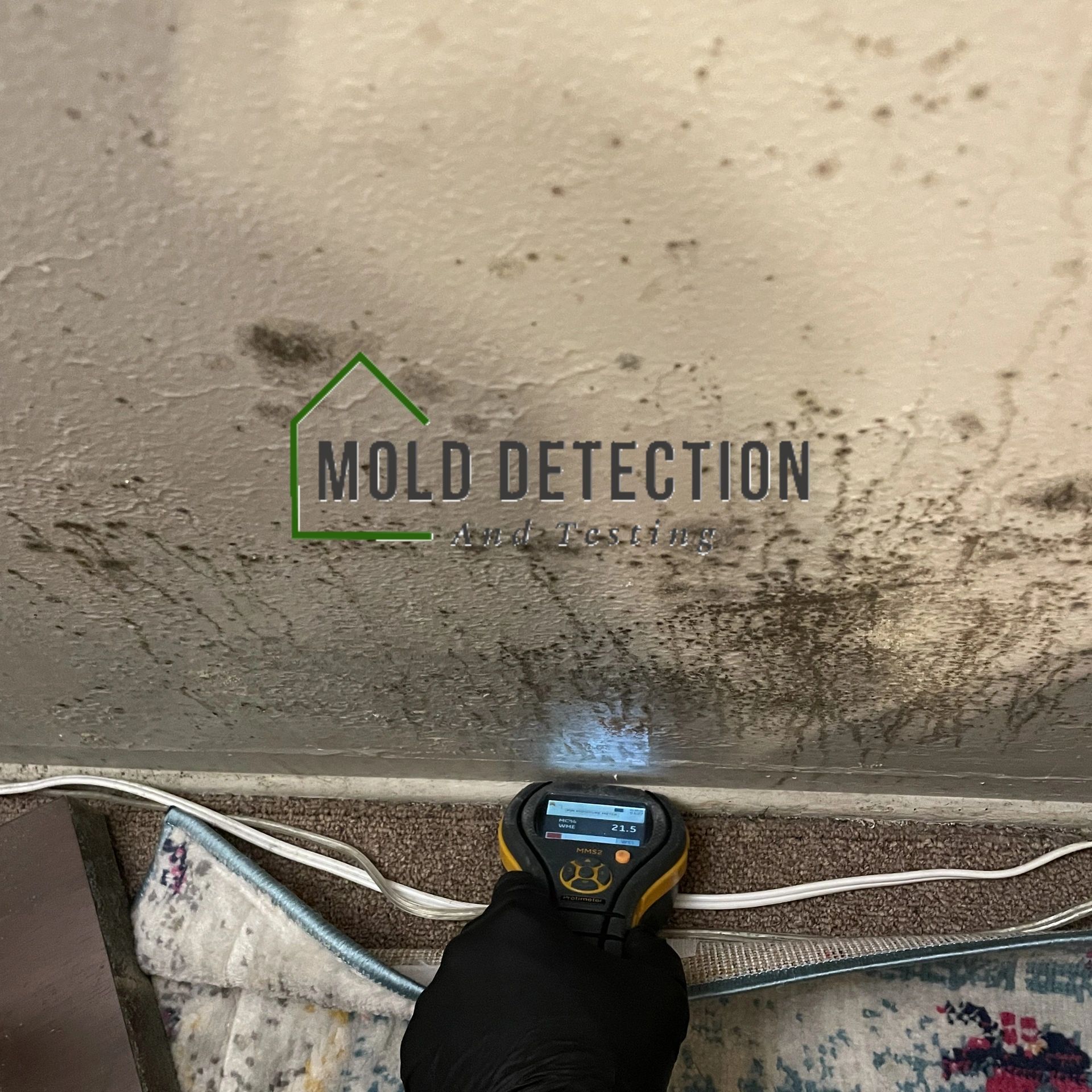 Mold Detection And Testing Professionals Yorba Linda CA