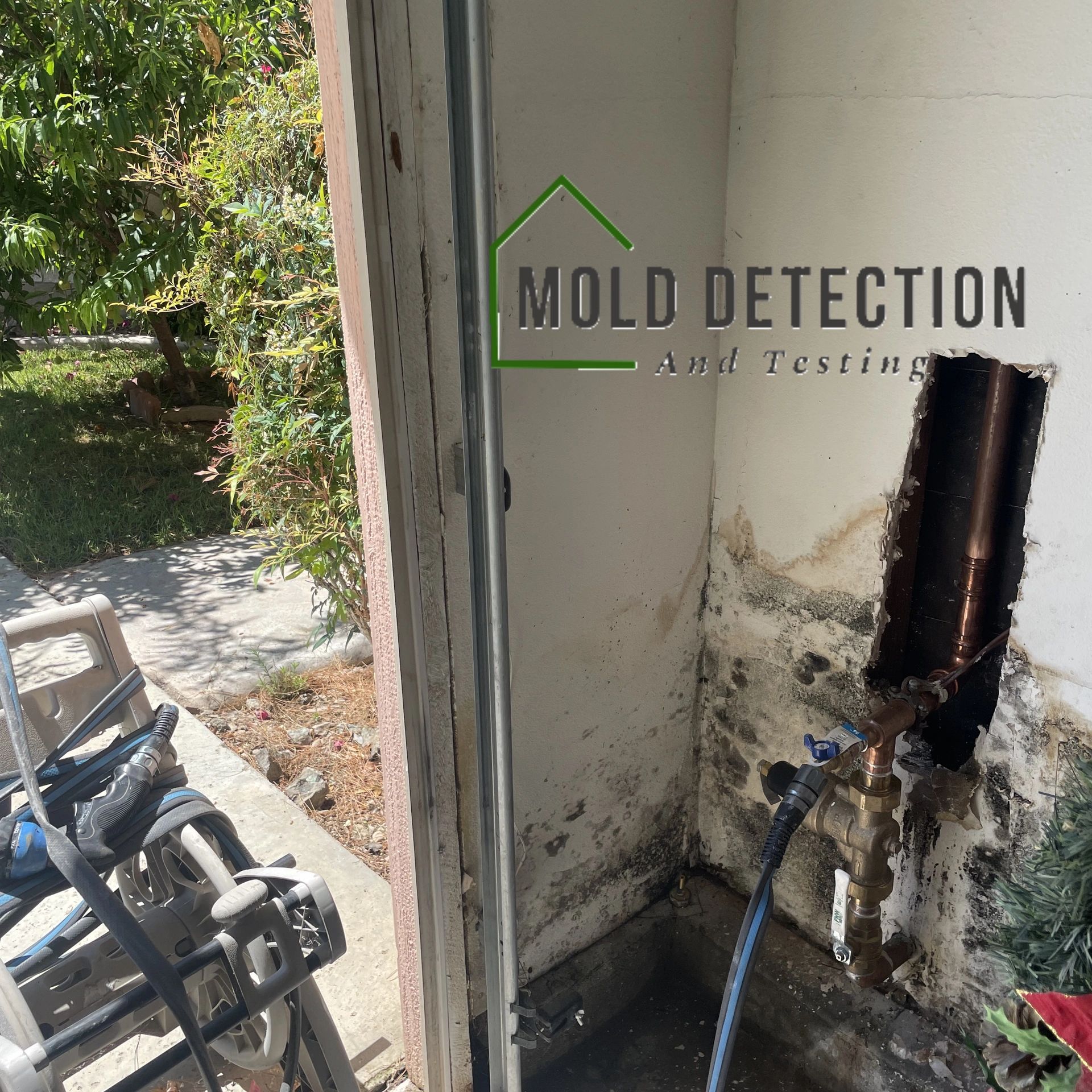 Mold Detection And Testing Menifee