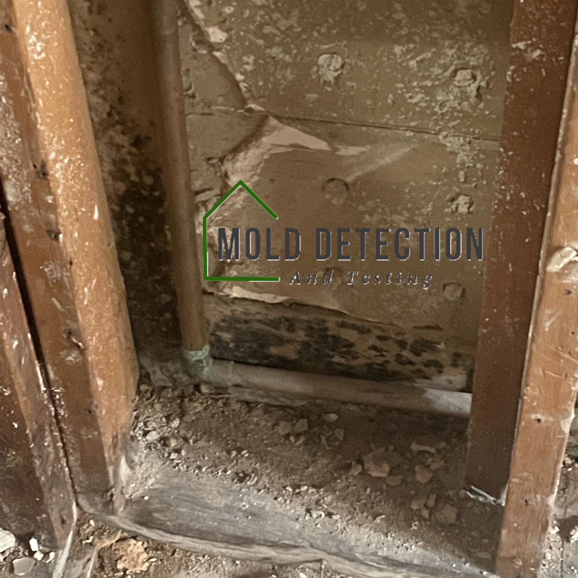 Mold Detection And Testing Highland CA
