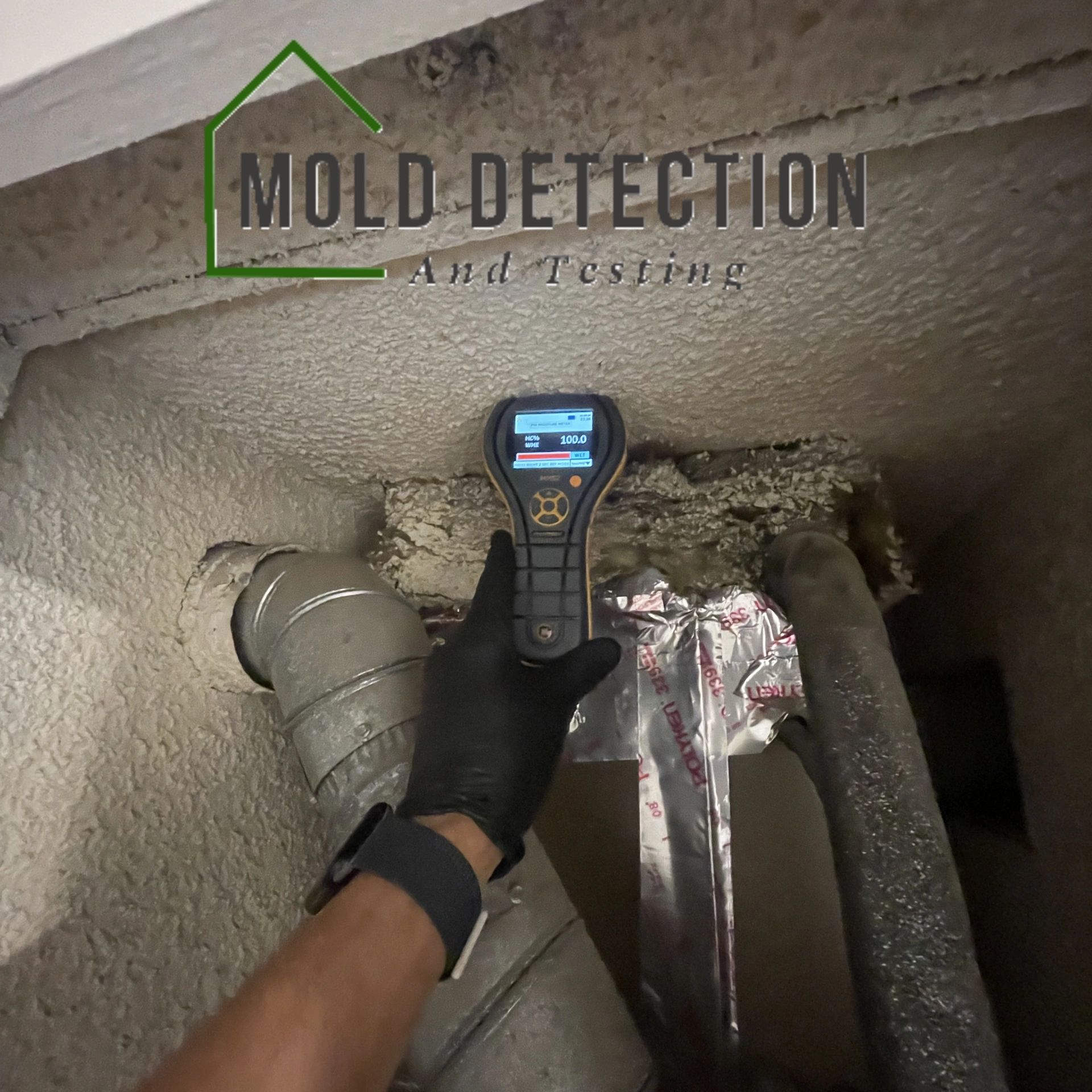 Mold Detection And Testing Redlands CA
