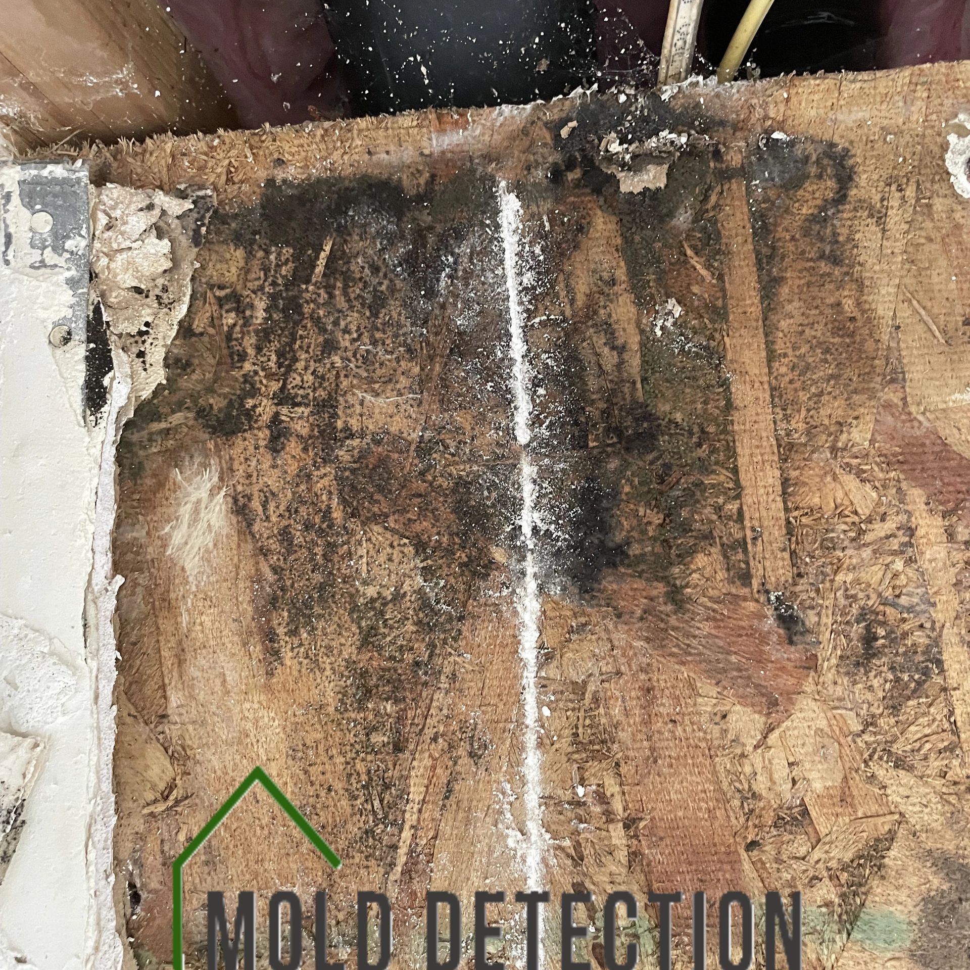 Mold Detection And Testing Diamond Bar CA