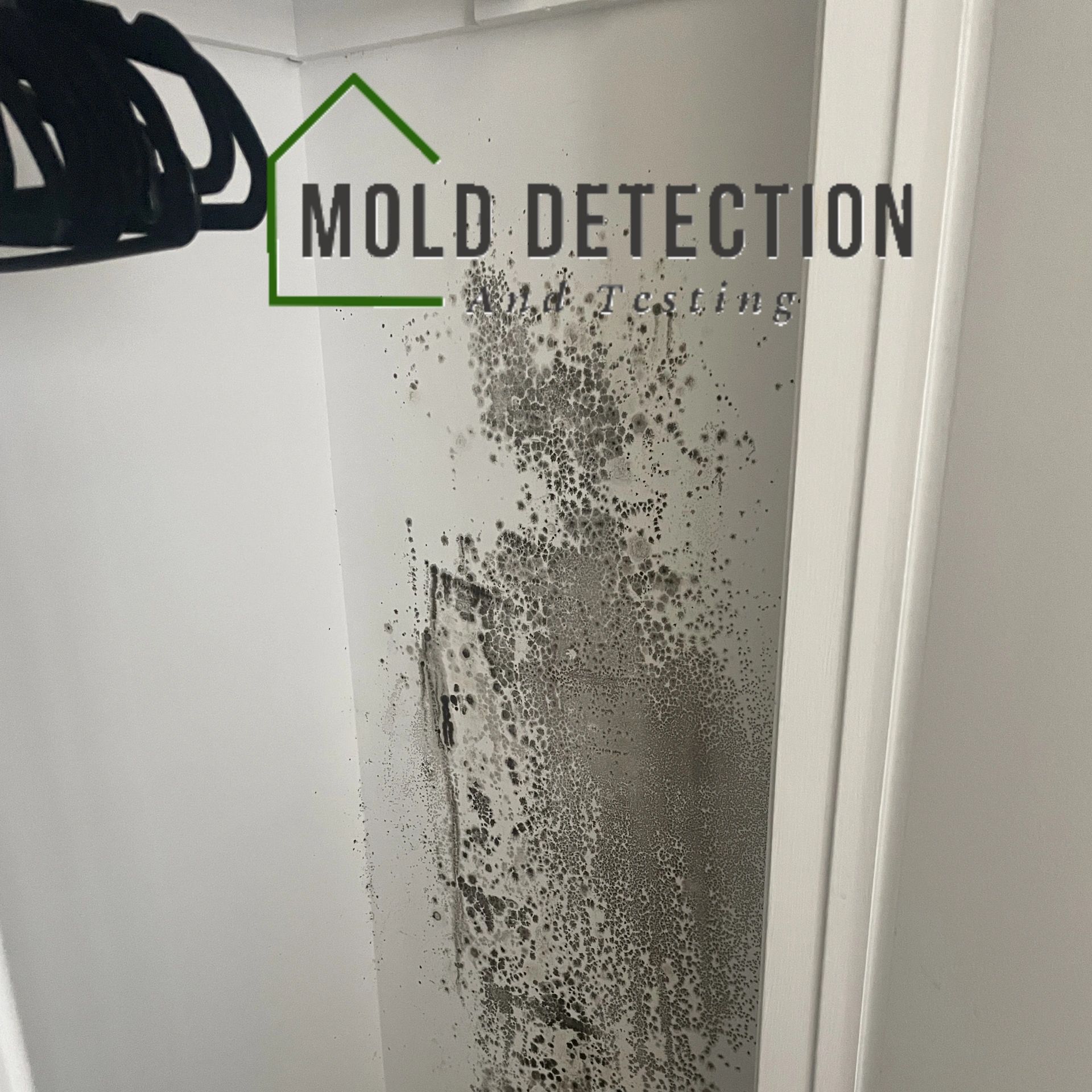 Mold Detection And Testing Temecula CA