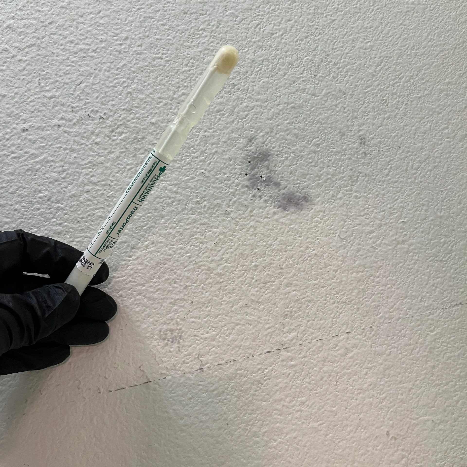 Mold Detection And Testing Orangcrest, CA