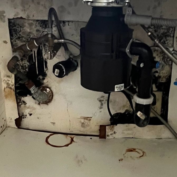 Mold Inspection And Testing Glendora, CA