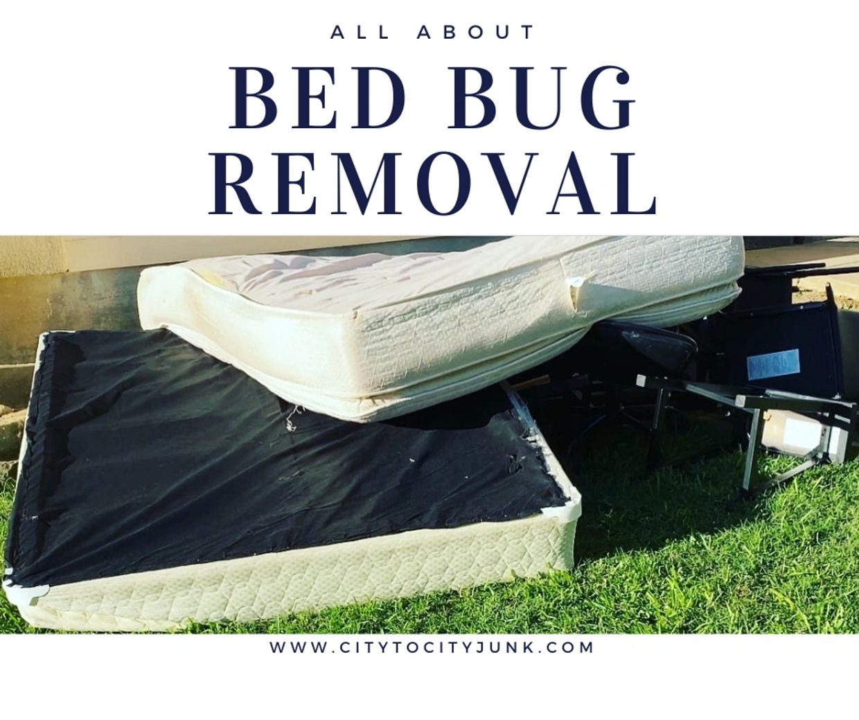 curb side bed bug furniture removal in fort worth texas, affordable option for waste removal