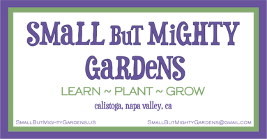 ~ COMING SOON ~
SMALL BUT MIGHTY
GARDENS