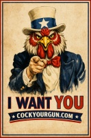 Cock Your Gun