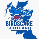 Birdscare Scotland 