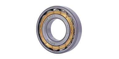 Cylindrical Roller Bearings