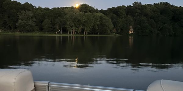 Moonlight reflecting over a calm lake with silhouetted trees.