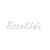 Excelsior Virtual Assistant Solutions