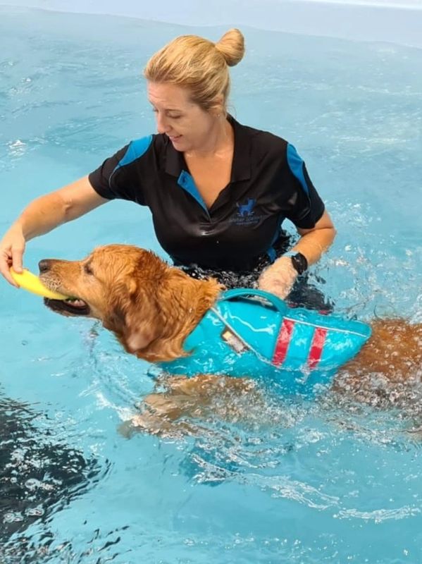 Blonde lady in pool with swimming Golden Retriever