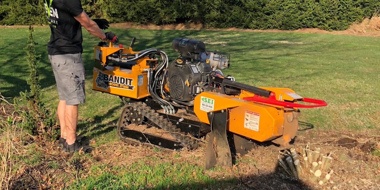 lawn care, lawn mowing, lawn maintenance, landscaping, stump grinding, stump removal, Gettysburg