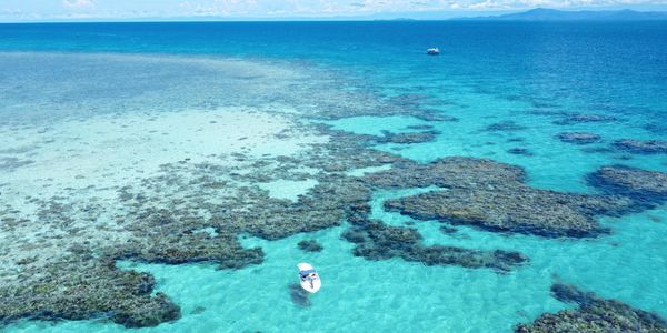 Great Barrier Reef Sand Cay Tropical North Queensland Australia Cape Tribulation Port Douglas