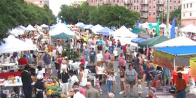 Judy Staunko is one of the founders of St Petersburg's Saturday Morning Market in Downtown St Pete.