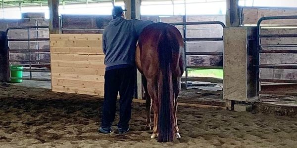 men horse therapy depression illness counselor therapist coach trauma relationship fear equine