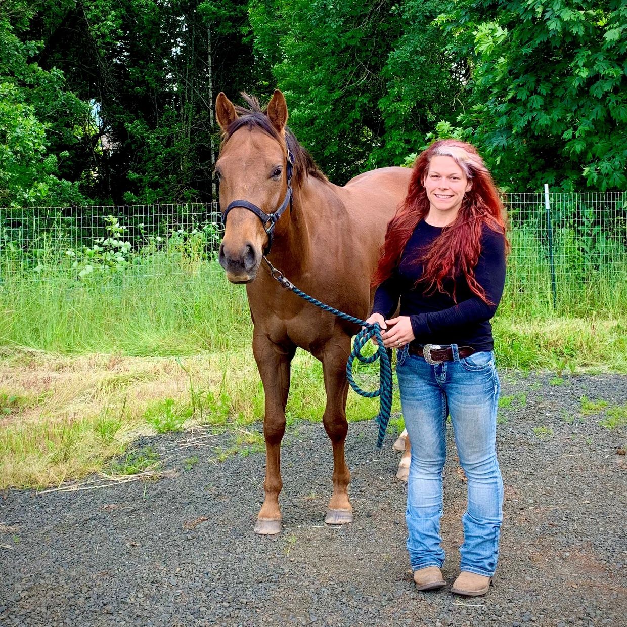 Life coach equine assisted therapy learning therapist counselor horses healing ifs near me online