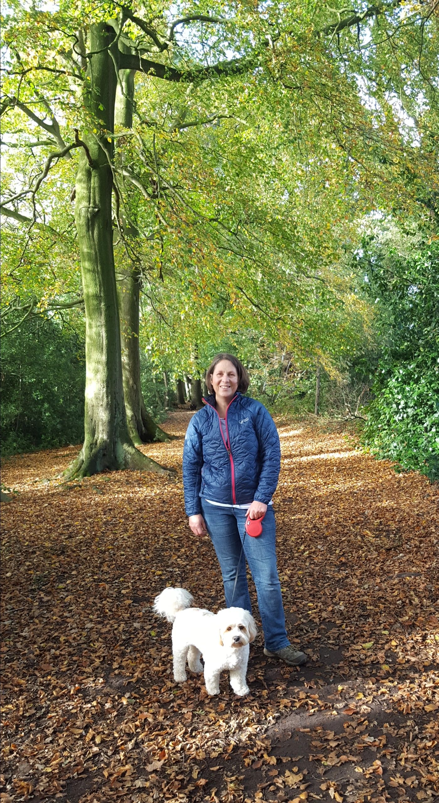 Paws Outdoors Knutsford Dog Walking, Doggy Day Care, Home Boarding