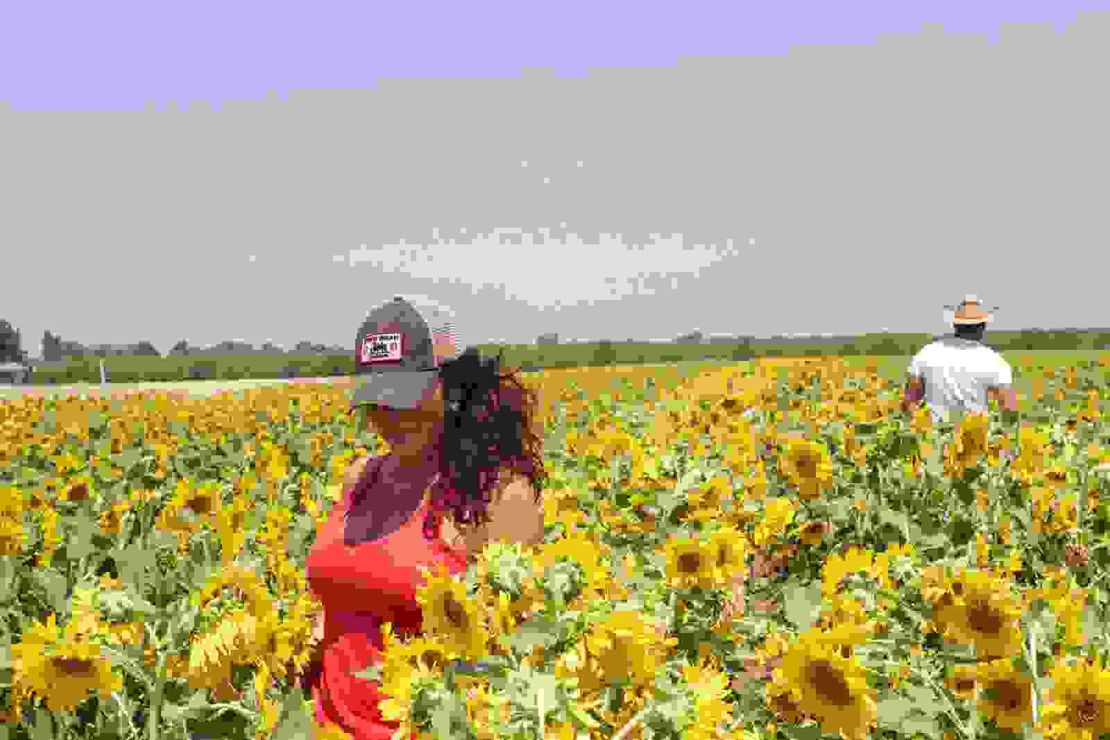 DREW BEAN FARMS Home