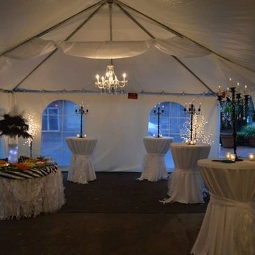 Red Carpet Rental  Events 365 Rentals