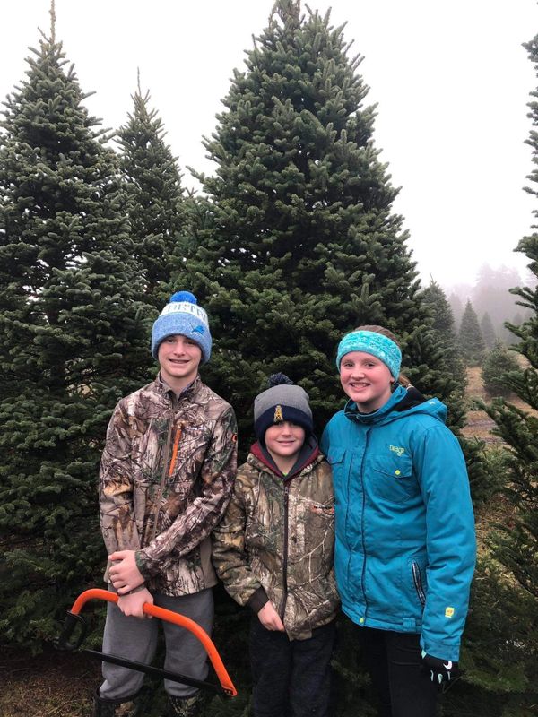 SWAN'S CHRISTMAS TREE FARM