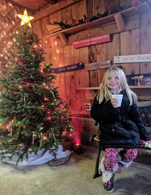 SWAN'S CHRISTMAS TREE FARM