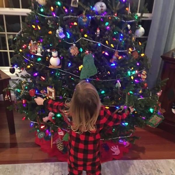 SWAN'S CHRISTMAS TREE FARM