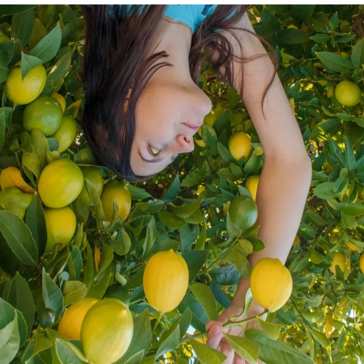 lemons to lemonade round the world photography